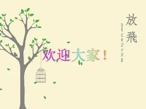 小学航模科技活动 PPT