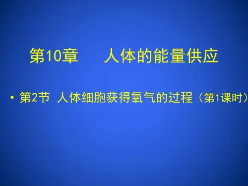 北师大版 七下 0.2.人体细胞获取氧气的过程课件(第1课时)