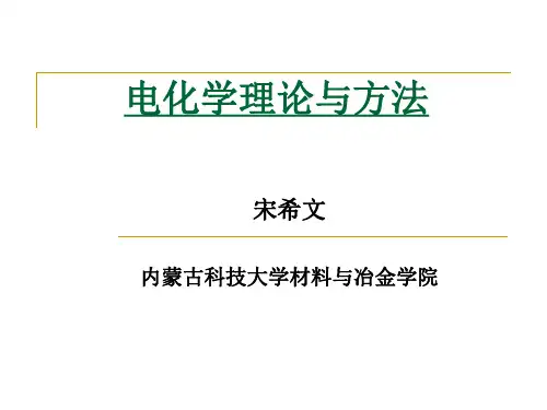 电化学理论与方法 第一章 绪论