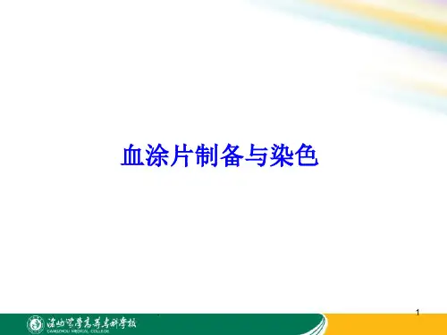 血涂片制备与染色