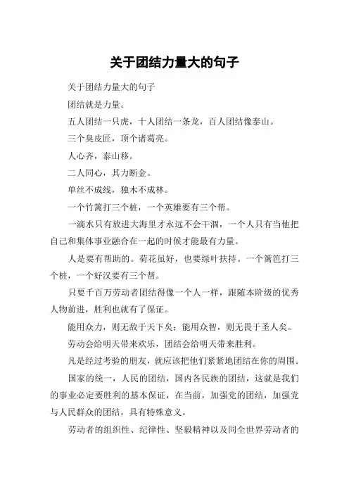 关于团结力量大的句子