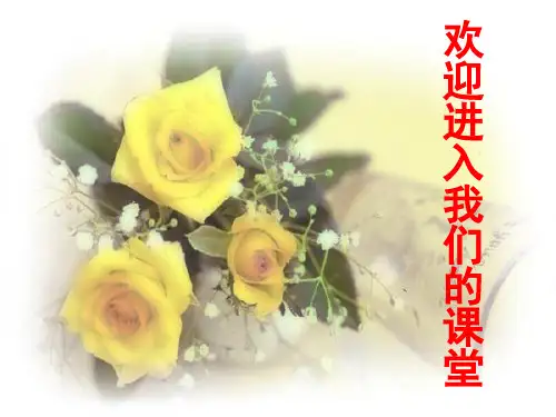 人物形象分析 PPT