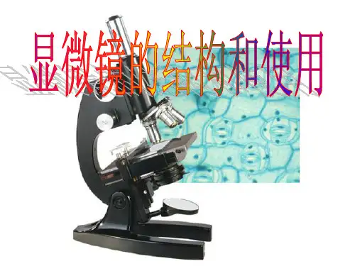 第一章 实验 显微镜的使用 人教版高中生物必修一PPT完美课件(共24张)