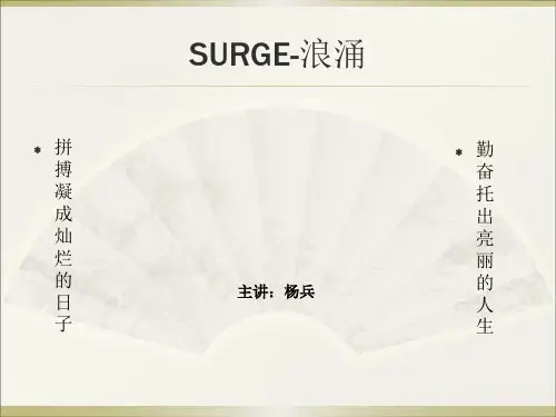 电磁兼容_试验和测量技术_浪涌(冲击)抗扰度试验
