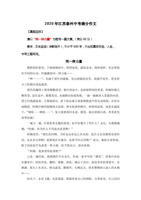 2020年江苏泰州中考满分作文《同一种力量》3