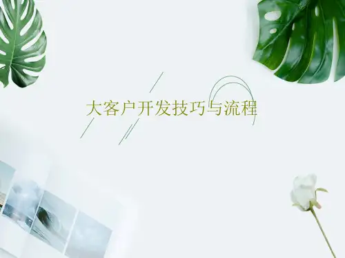 大客户开发技巧与流程31页PPT