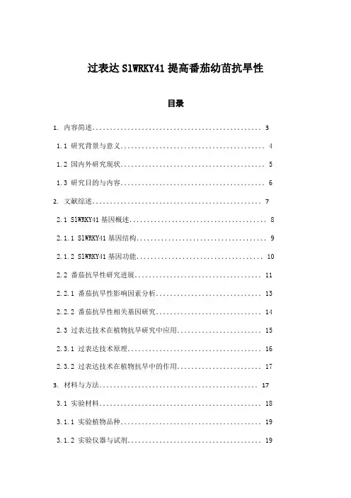过表达SlWRKY41提高番茄幼苗抗旱性