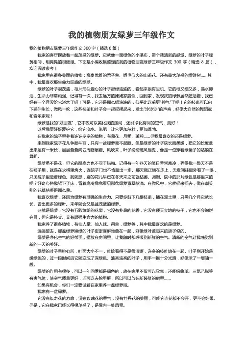 我的植物朋友绿萝三年级作文300字（精选8篇）