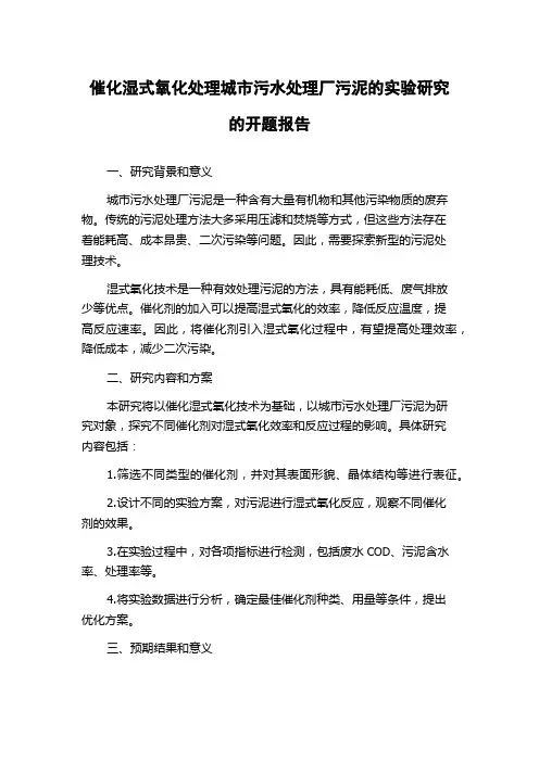 催化湿式氧化处理城市污水处理厂污泥的实验研究的开题报告