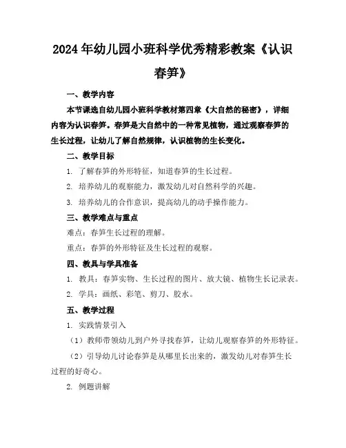 2024年幼儿园小班科学优秀精彩教案《认识春笋》