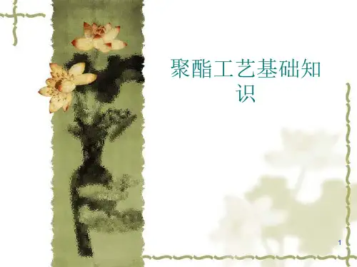 聚酯工艺基础知识ppt课件