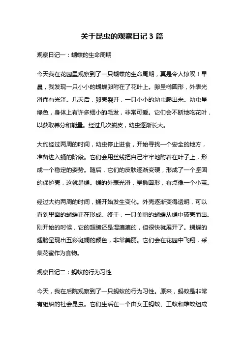 关于昆虫的观察日记3篇