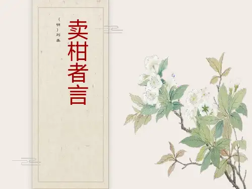 卖柑者言PPT课件