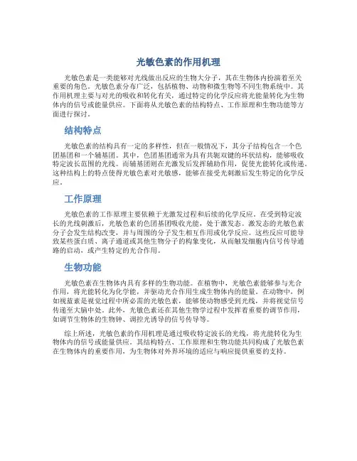 光敏色素的作用机理的