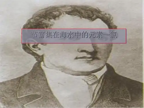 富集在海水的元素——氯(课件PPT)
