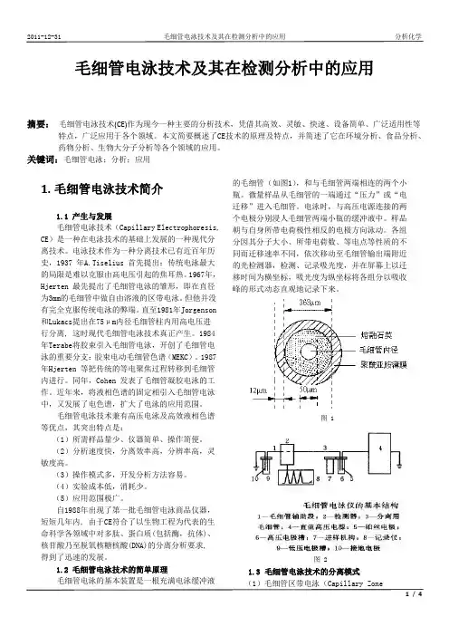 毛细管电泳技术在检测分析中的应用