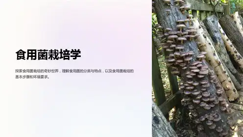《食用菌栽培学》课件