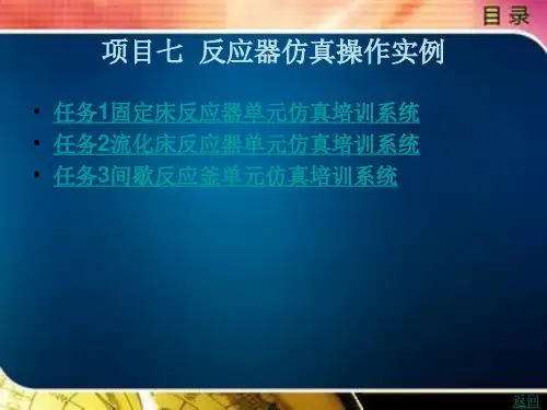 反应器仿真操作实例