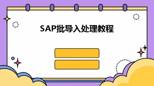 SAP批导入处理教程