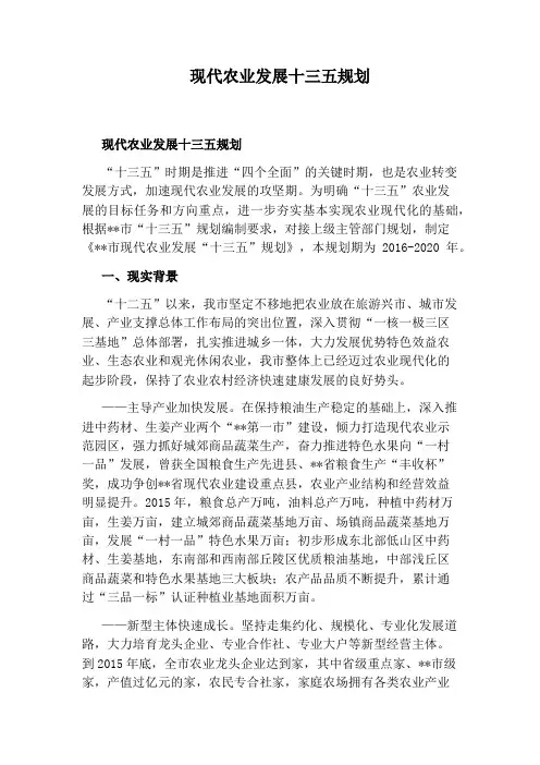 现代农业发展十三五规划