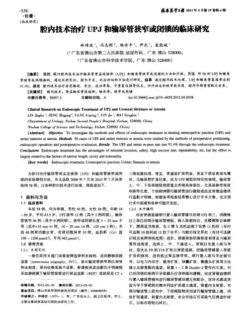 腔内技术治疗UPJ和输尿管狭窄或闭锁的临床研究