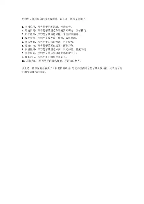 形容男子长相俊俏的成语