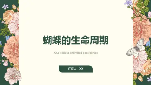 蝴蝶的生命周期
