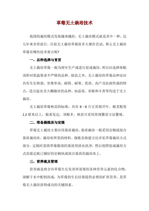 草莓无土栽培技术