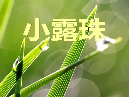 二年级下语文课件6 小露珠｜冀教版 (共34张PPT)