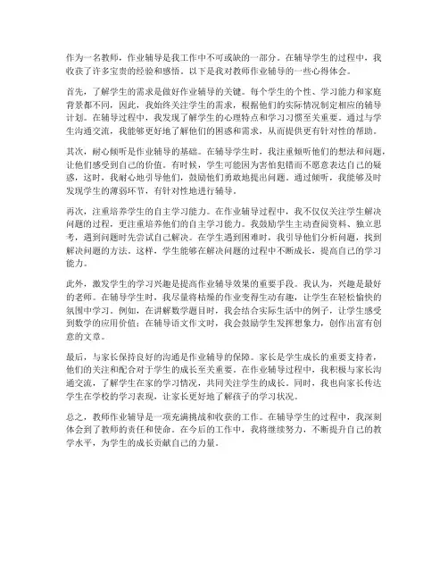 教师作业辅导的心得体会