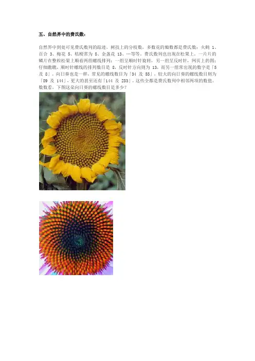自然界中的斐波那契数