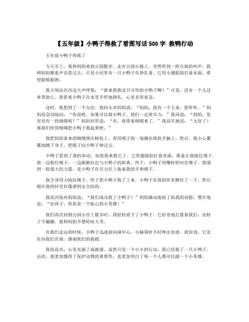 【五年级】小鸭子得救了看图写话500字 救鸭行动