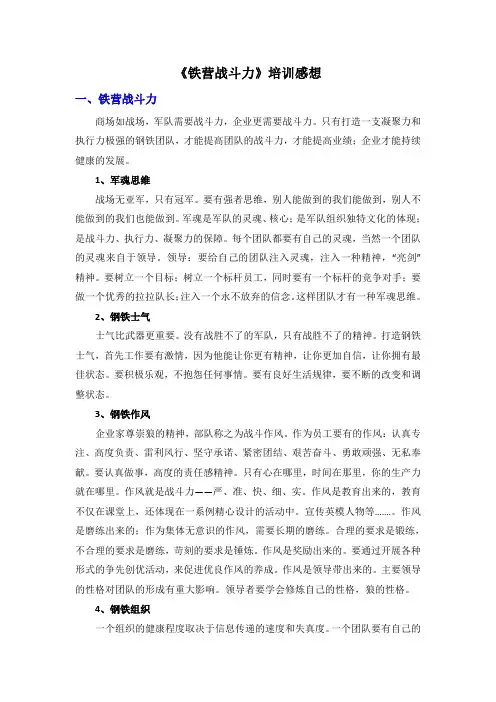 铁营战斗力培训感想