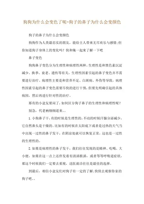 狗狗为什么会变色了呢-狗子的鼻子为什么会变颜色
