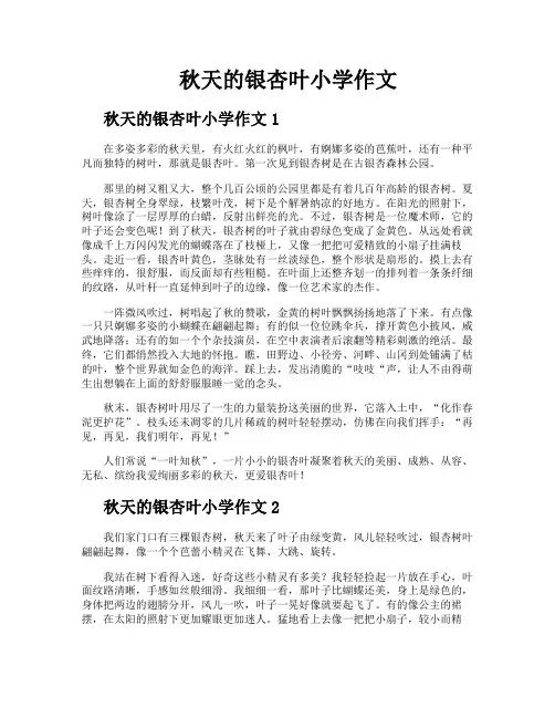秋天的银杏叶小学作文