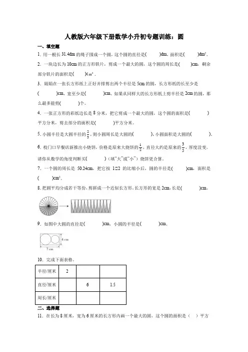 2024人教版六年级下册数学小升初专题训练 圆(含答案)