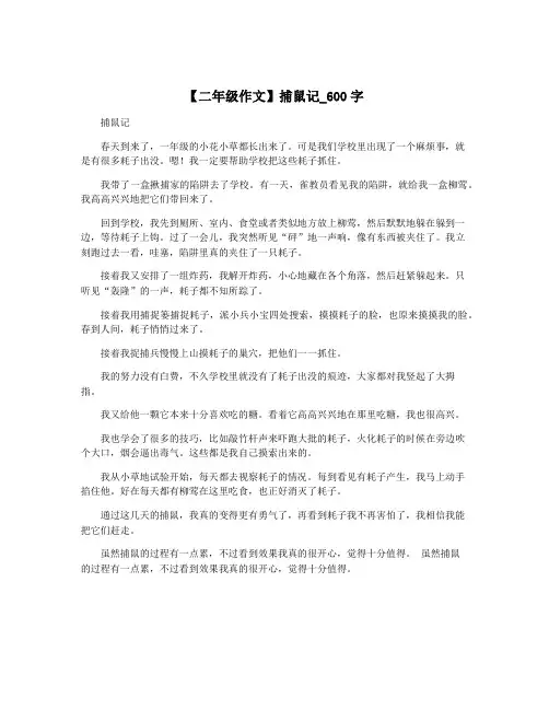 【二年级作文】捕鼠记_600字