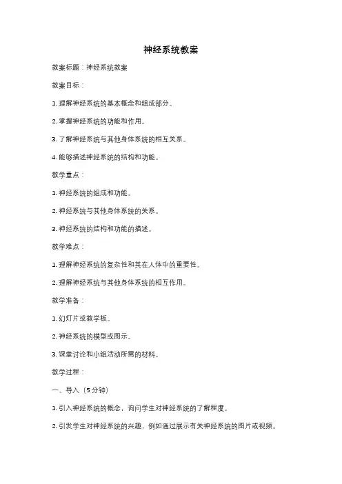 神经系统教案