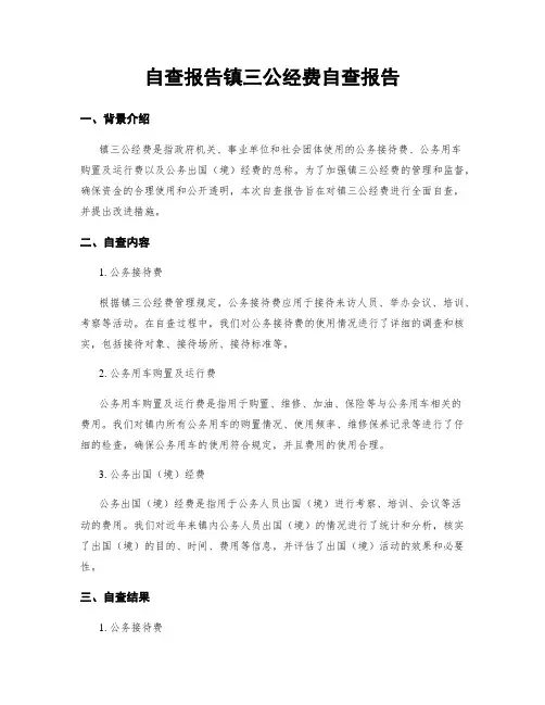 自查报告镇三公经费自查报告
