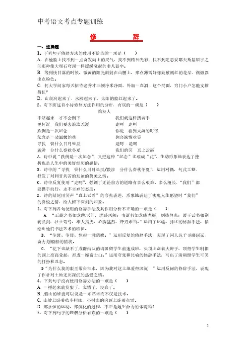 中考语文考点专题 修 辞(含答案)