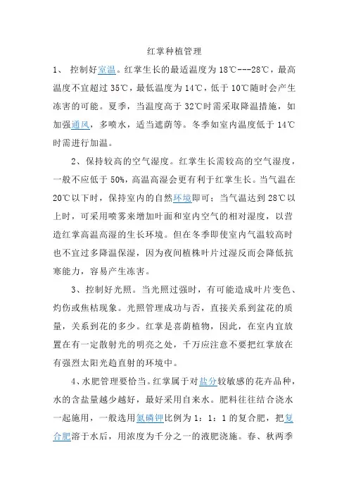 红掌种植管理