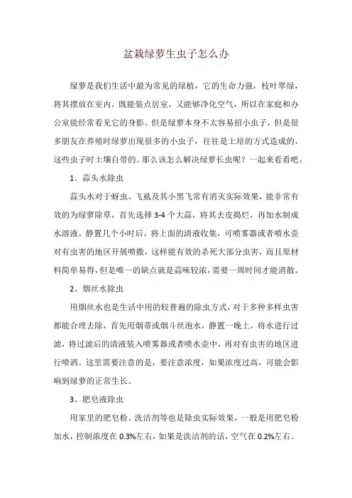 盆栽绿萝生虫子怎么办