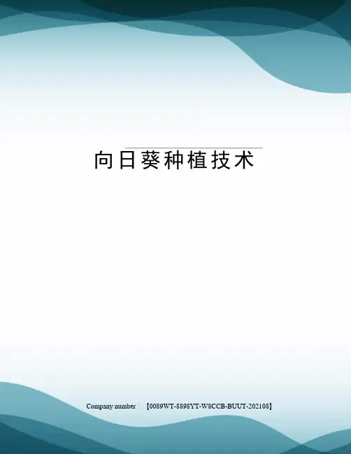向日葵种植技术