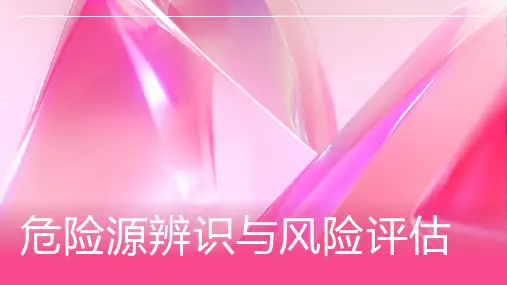 危险源辨识与风险评估