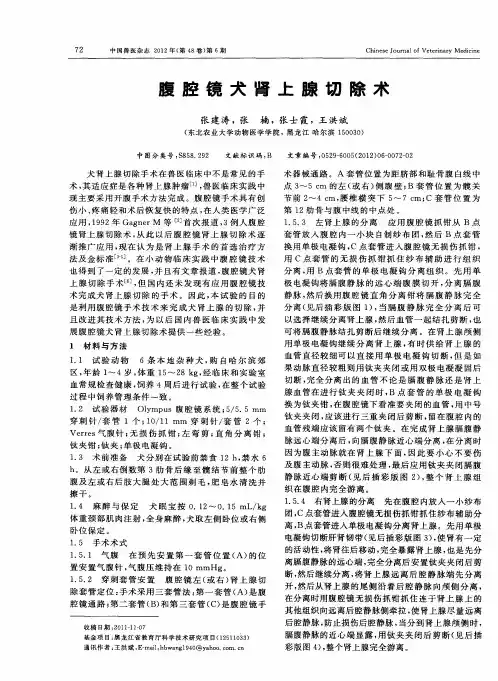 腹腔镜犬肾上腺切除术