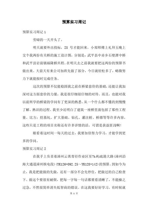 预算实习周记