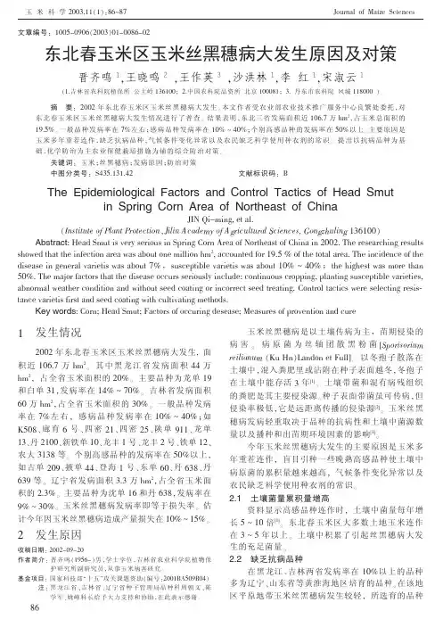 东北春玉米区玉米丝黑穗病大发生原因及对策