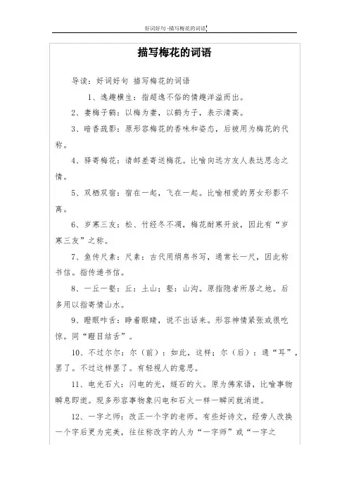 描写梅花的词语
