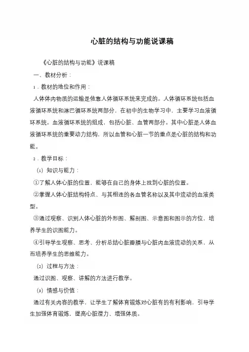 心脏的结构与功能说课稿