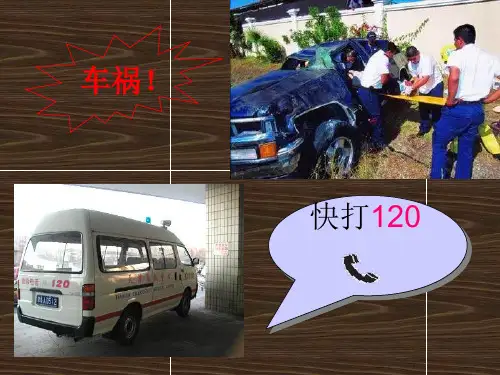 七年级生物-血量、输血和血型ppt_PPT幻灯片